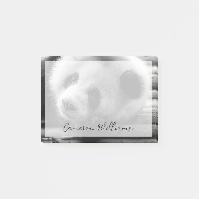 Bloco De Notas Bebês Mais Pobres | Cubo-Urso-Panda Gigante (Frente)