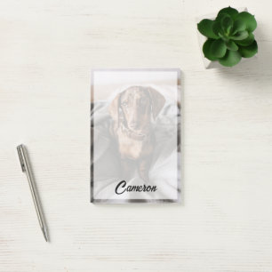 Bloco De Notas Bebês Mais Pobres   Dachshund De Chocolate