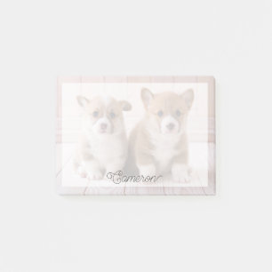 Bloco De Notas Bebês Mais Pobres Dois Bebês De Corgão