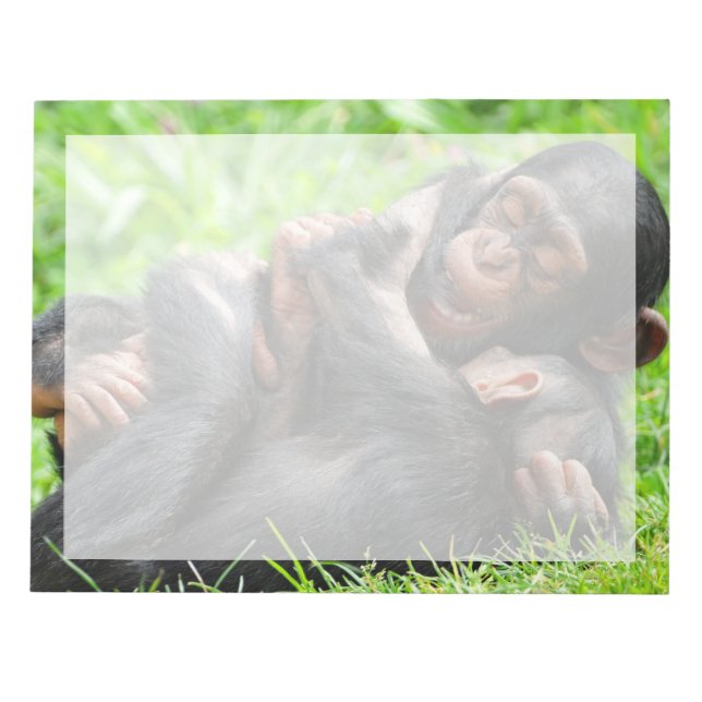 Bloco De Notas Bebês Mais Pobres | Dois jovens chimpanzés (Frente)