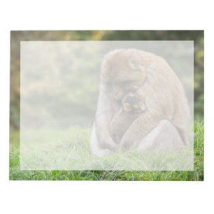 Bloco De Notas Bebês Mais Pobres Família Barbary Macaque