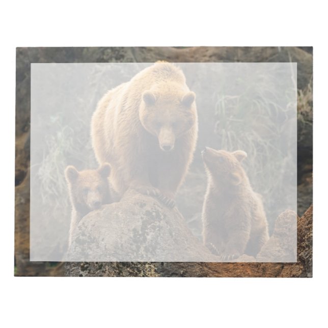 Bloco De Notas Bebês Mais Pobres | Família Brown Bear (Frente)
