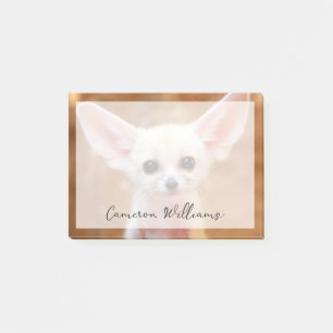 Bloco De Notas Bebês Mais Pobres Fennec Fox