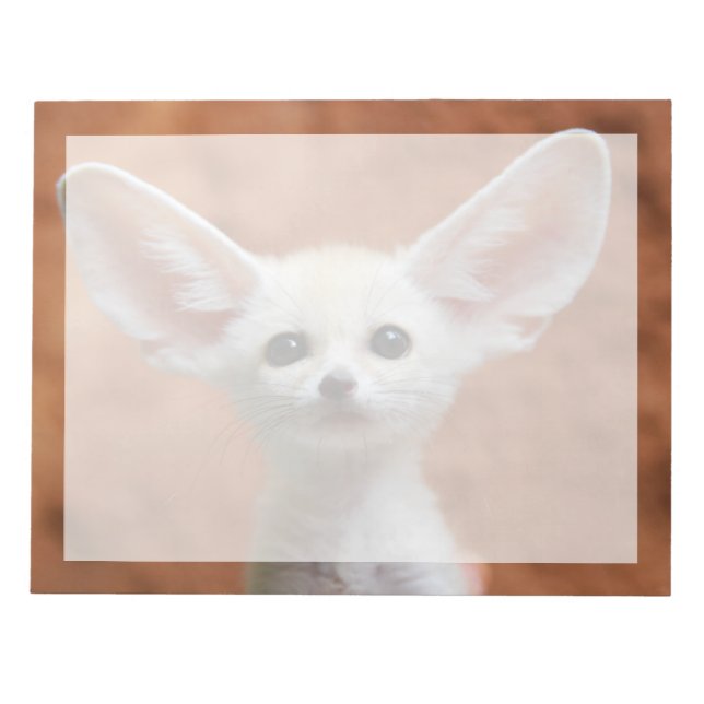 Bloco De Notas Bebês Mais Pobres | Fennec Fox Pup (Frente)