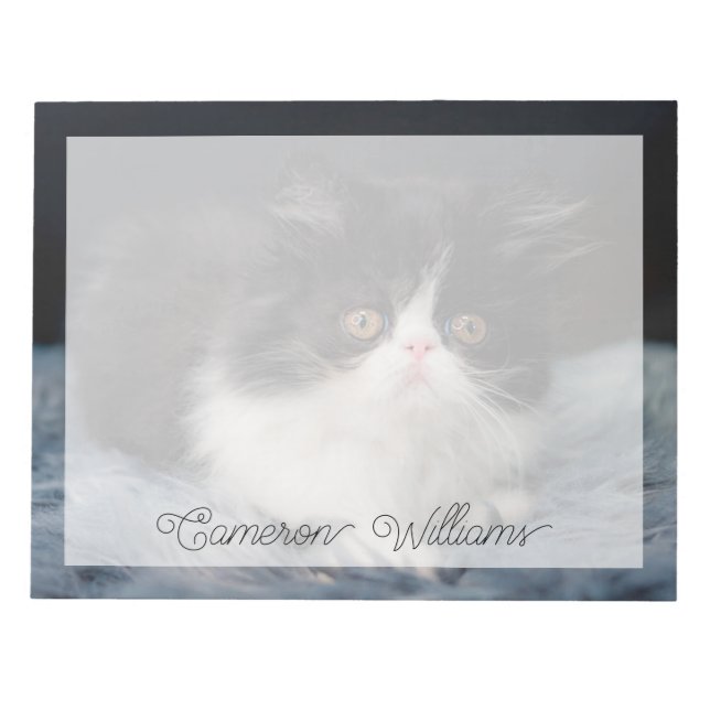 Bloco De Notas Bebês Mais Pobres | Fluffy B&W Kitten (Frente)