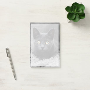 Bloco De Notas Bebês Mais Pobres   Gato Cinza