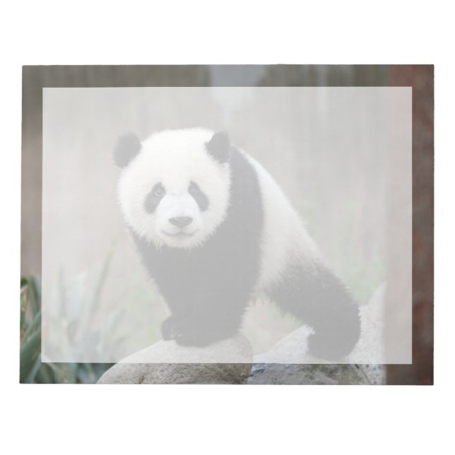 Bloco De Notas Bebês Mais Pobres | Giant Panda Baby (Frente)