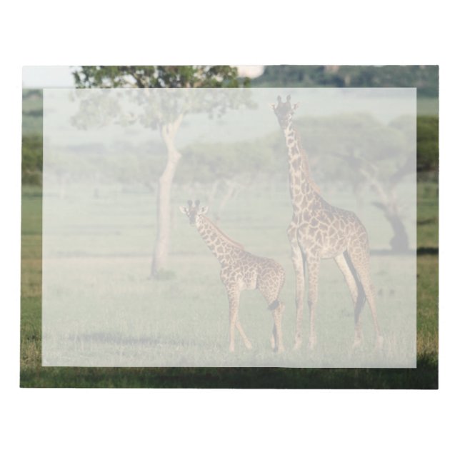 Bloco De Notas Bebês Mais Pobres | Giraffe Calf & Mama (Frente)