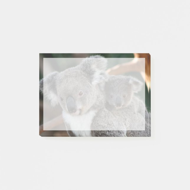 Bloco De Notas Bebês Mais Pobres | Koala e Joey (Frente)