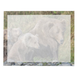 Bloco De Notas Bebês Mais Pobres Kodiak Mama Bear & Cubs