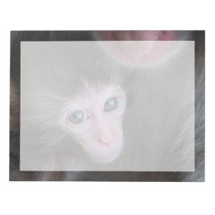 Bloco De Notas Bebês Mais Pobres Macaco Baby Macaque e Mãe
