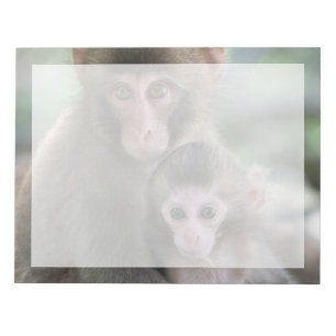 Bloco De Notas Bebês Mais Pobres   Macacos Japoneses