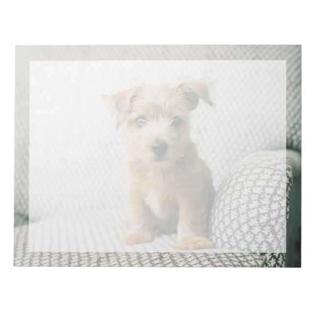 Bloco De Notas Bebês Mais Pobres | Norfolk Terrier Puppy (Frente)