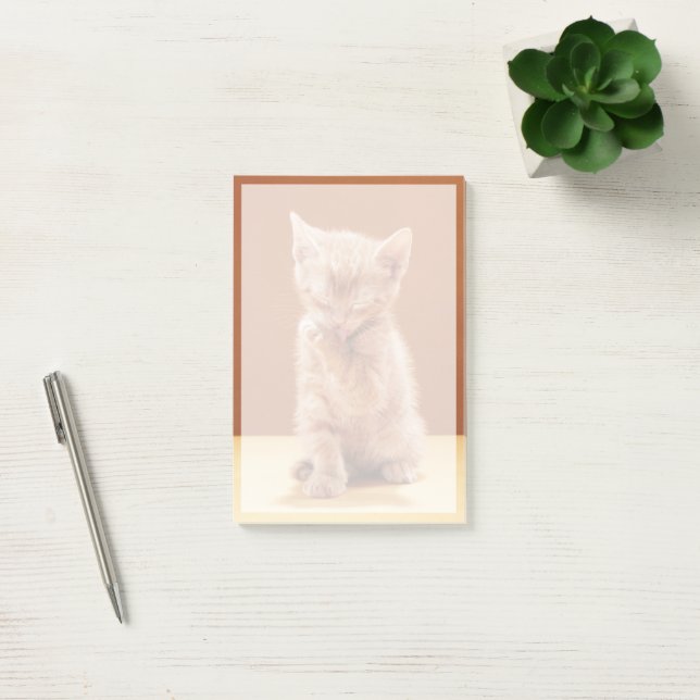 Bloco De Notas Bebês Mais Pobres | Orange Tabby Kitten (Escritótio)