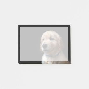 Bloco De Notas Bebês Mais Pobres Ouro Retriever Puppy