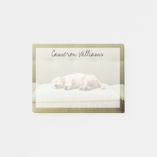 Bloco De Notas Bebês Mais Pobres   Ouro Retriever Puppy 2
