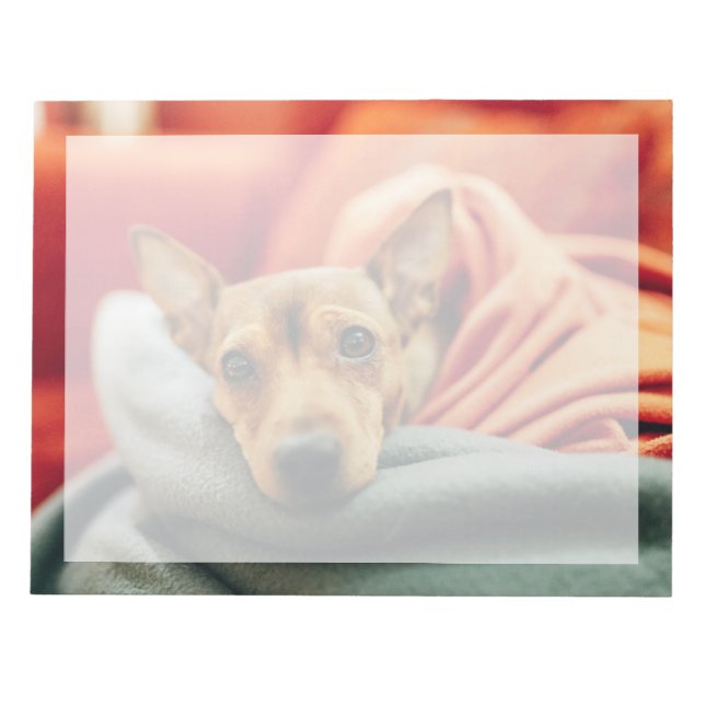 Bloco De Notas Bebês Mais Pobres | Pinscher miniatura (Frente)