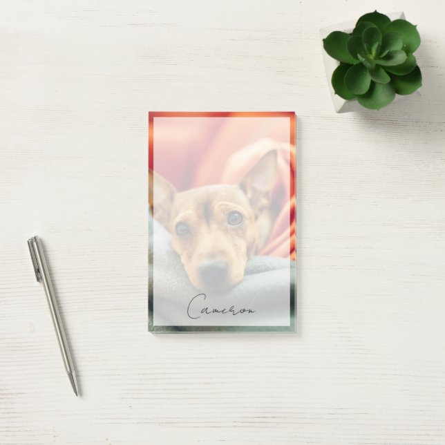 Bloco De Notas Bebês Mais Pobres | Pinscher miniatura (Escritótio)