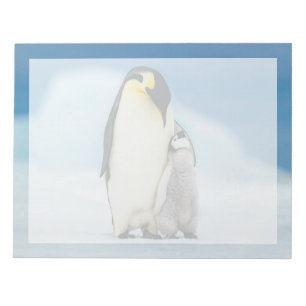 Bloco De Notas Bebês Mais Pobres Pintinho Imperador Pinguim