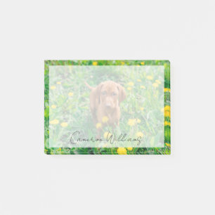 Bloco De Notas Bebês Mais Pobres   Pointer Puppy