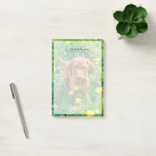 Bloco De Notas Bebês Mais Pobres   Pointer Puppy