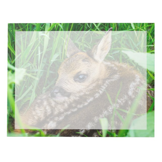 Bloco De Notas Bebês Mais Pobres | Roe Deer Baby (Frente)