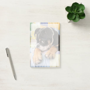 Bloco De Notas Bebês Mais Pobres   Tímido Bulldog Inglês