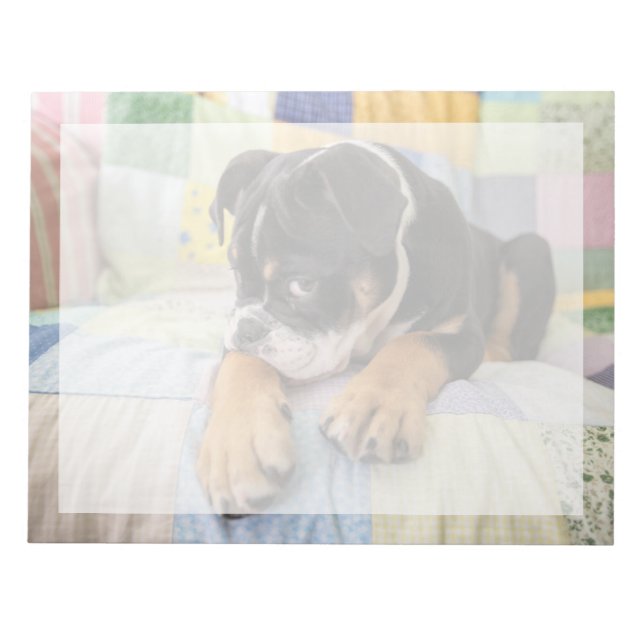Bloco De Notas Bebês Mais Pobres | Tímido Bulldog Inglês (Frente)