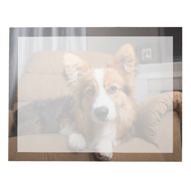 Bloco De Notas Bebês Mais Pobres | Torneiras de Corgi de Cabelo L (Frente)