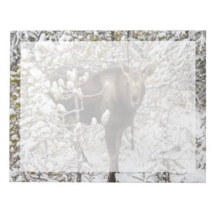 Bloco De Notas Bebês Mais Pobres Vitelo de Moose