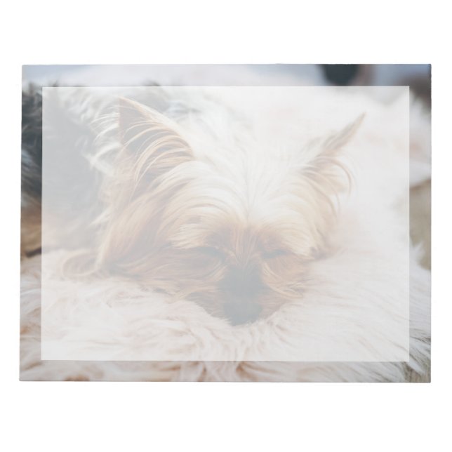 Bloco De Notas Bebês Mais Pobres | Yorkshire Terrier (Frente)
