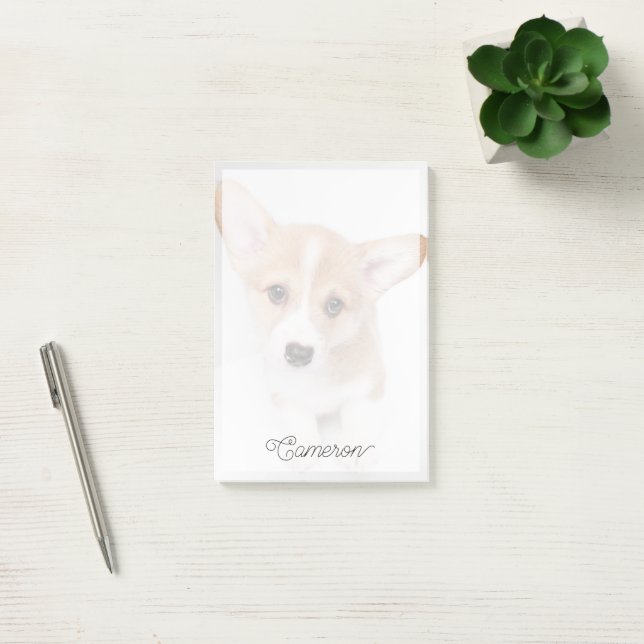 Bloco De Notas Bebês Mais Pobres | Young Corgi Puppy (Escritótio)