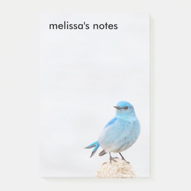 Bloco De Notas Bela Montanha Bluebird (Frente)