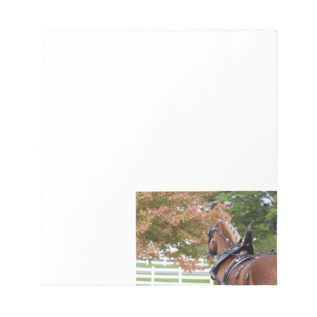 Bloco De Notas Belga Rascunho de Cavalo Notepad (Frente)