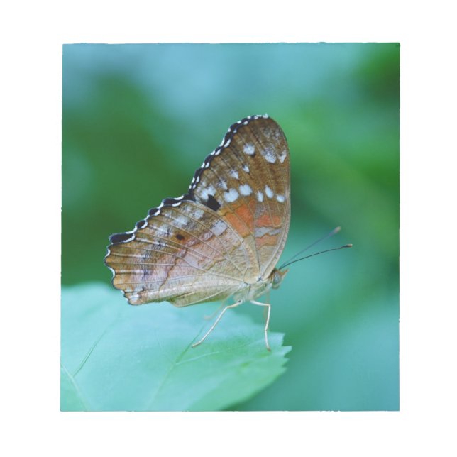 Bloco De Notas Belo Danaus Plexippus Butterfly em Folha. (Frente)