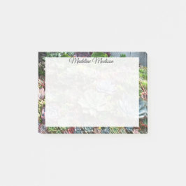 Bloco De Notas Belos Sucultos