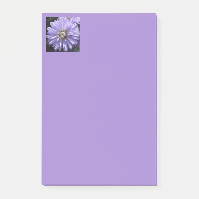 Bloco De Notas Berlinette (Frente)