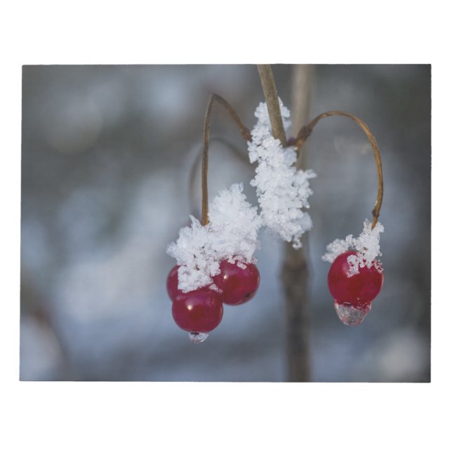 Bloco De Notas Berries fosco (Frente)