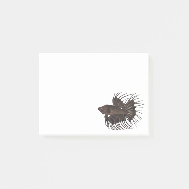 Bloco De Notas Betta Fish Notes (Frente)
