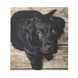 Bloco De Notas Black Labrador Retriever Puppy sobre madeira