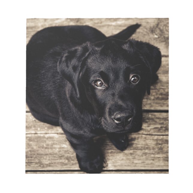 Bloco De Notas Black Labrador Retriever Puppy sobre madeira (Frente)