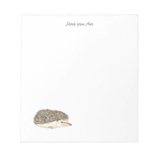 Bloco De Notas Bloc De Notas, Pasta de Notas de Hedgehog, hedgeho