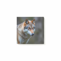 Blocos de notas adesivas