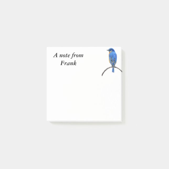 Bloco De Notas Bluebird (Frente)