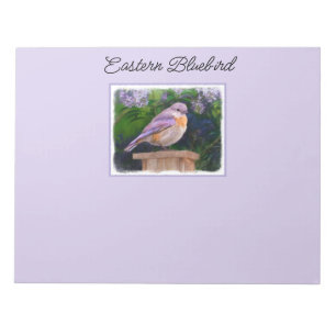 Bloco De Notas Bluebird oriental na neve - Foto original