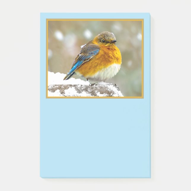 Bloco De Notas Bluebird oriental na neve - Foto original (Frente)