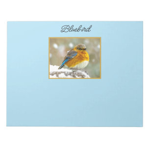 Bloco De Notas Bluebird oriental na neve - Foto original