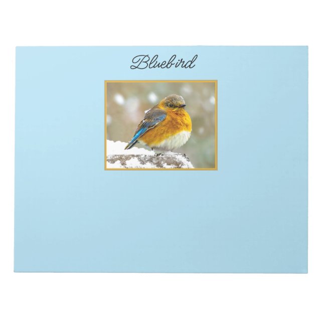 Bloco De Notas Bluebird oriental na neve - Foto original (Frente)