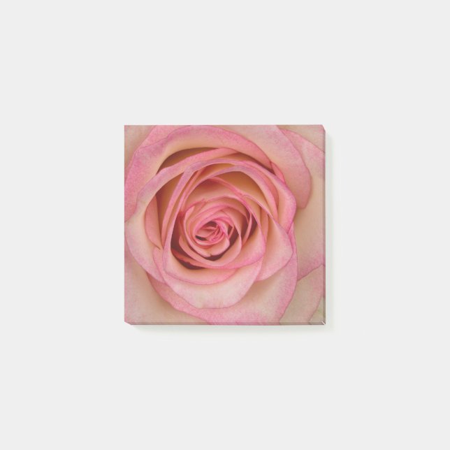 Bloco De Notas Blume rosa rosa (Frente)