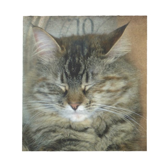 Bloco De Notas Bob (Frente)